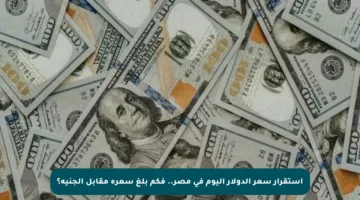استقرار سعر الدولار اليوم في مصر.. فكم بلغ سعره مقابل الجنيه؟